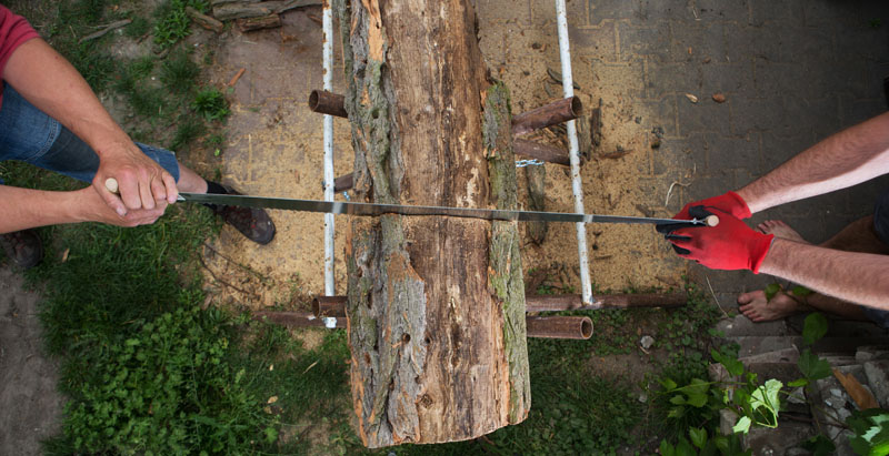 Arboriste à Crolles<br>Entretien d’arbres à Crolles<br>Élagage d’arbres à Crolles