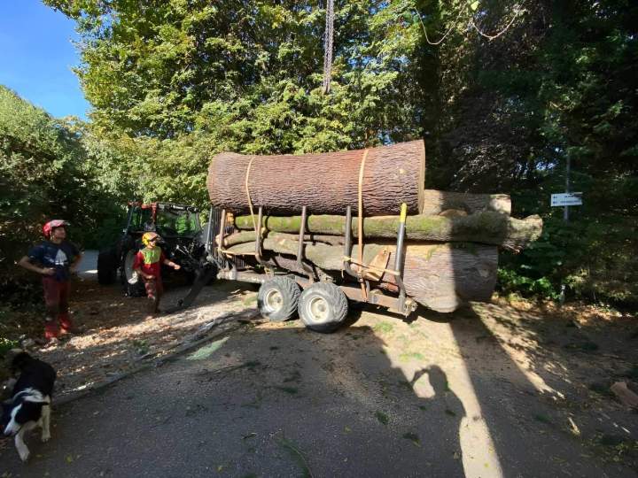 Grumes sur porteur forestier Grenoble