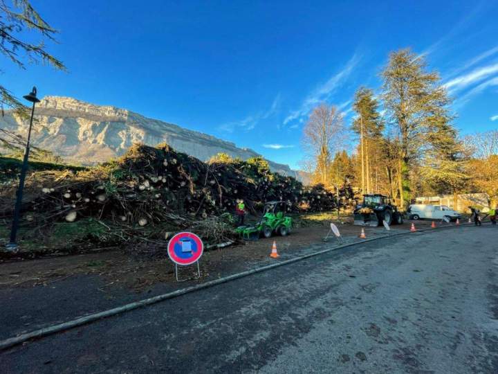 Travaux forestiers en cours Grenoble