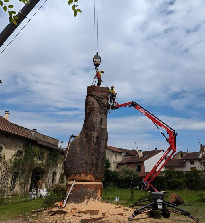 Abattage en toute sécurité Grenoble