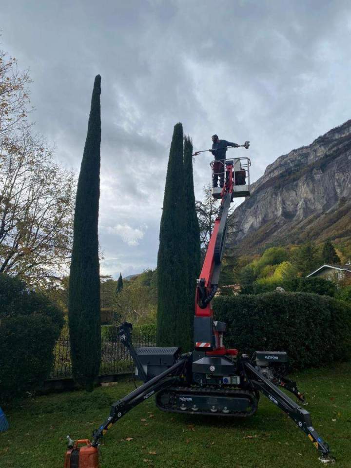 Taille de haies par un arboriste Grenoble