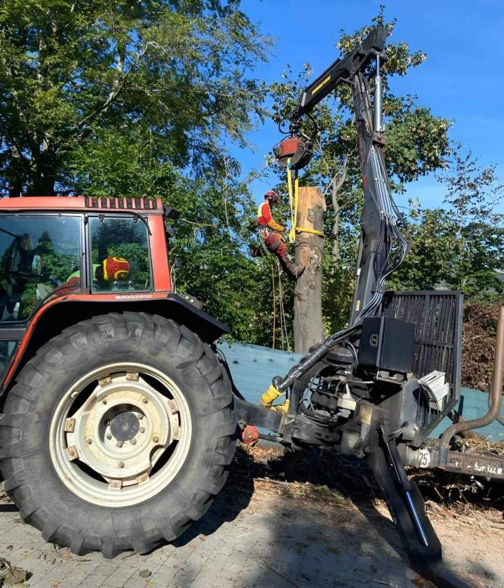 Equipements travaux forestiers adaptés Grenoble