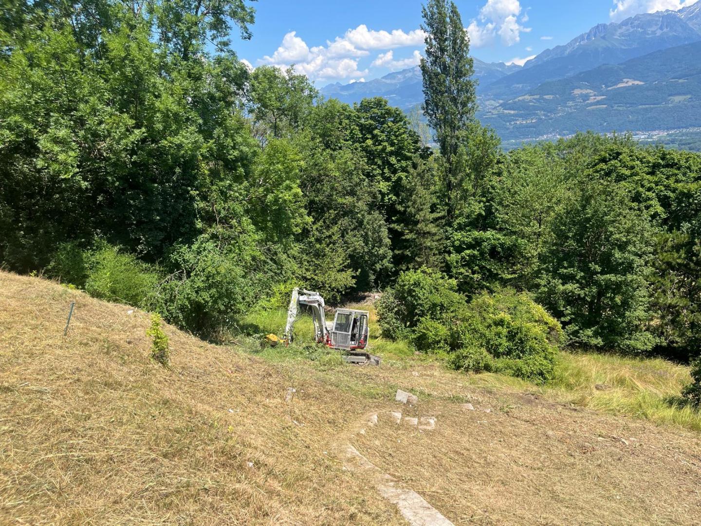 Débroussaillage, Grenoble