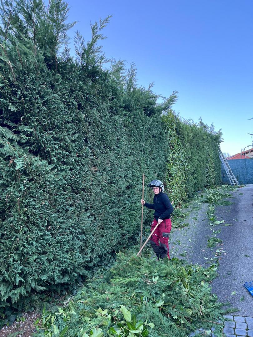 Entretien espace vert, Biviers