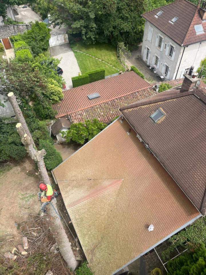 Débroussaillage, Tencin