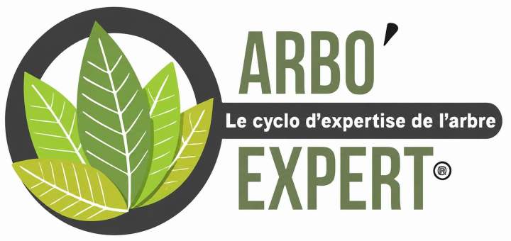 Logo arboexpert