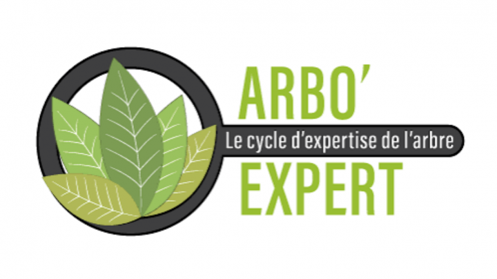 Logo arboexpert