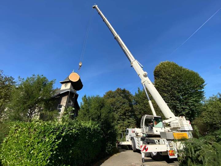 Abattage arbre par grutage Grenoble