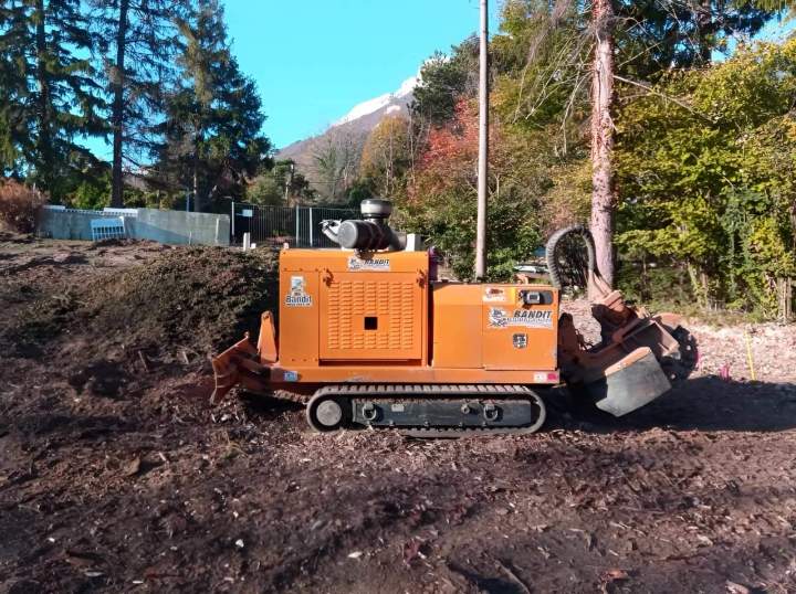 Extraction propre et définitive de vos souches encombrantes