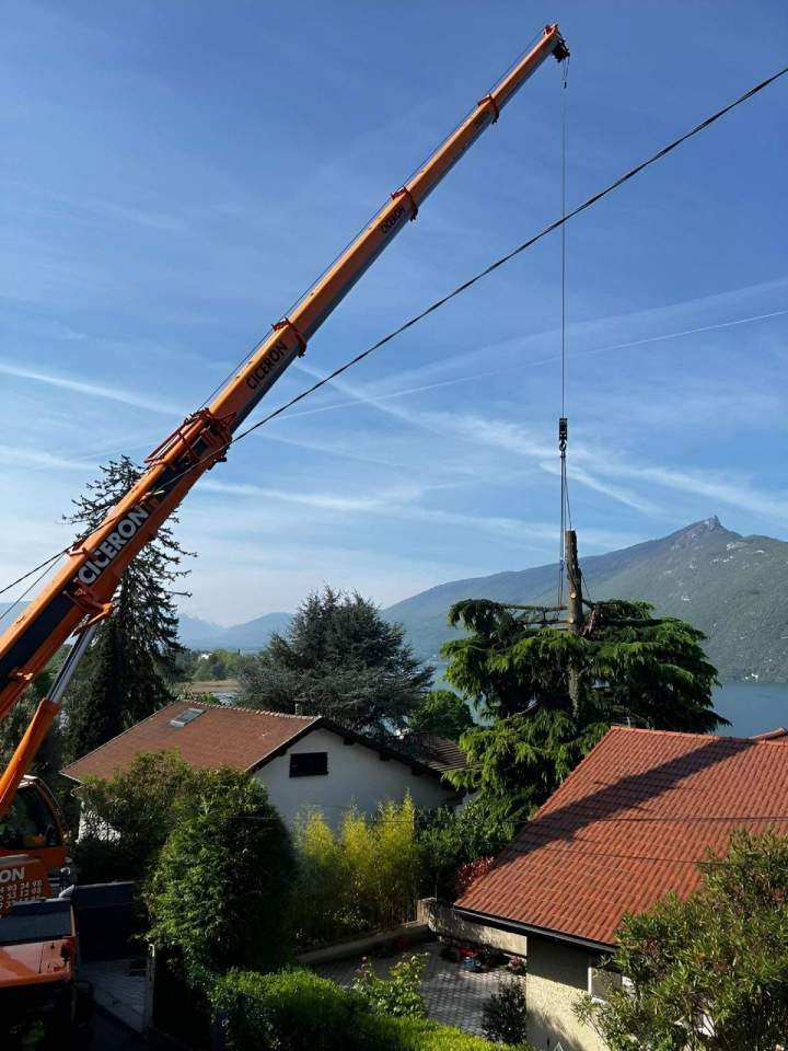 Démontage d'arbre par grutage Grenoble
